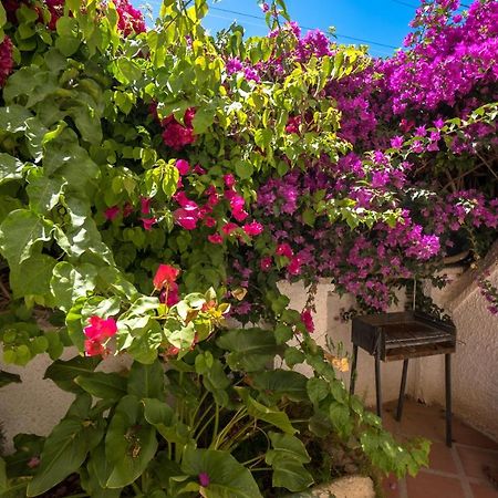 Pinos 2 Διαμέρισμα Nerja Εξωτερικό φωτογραφία